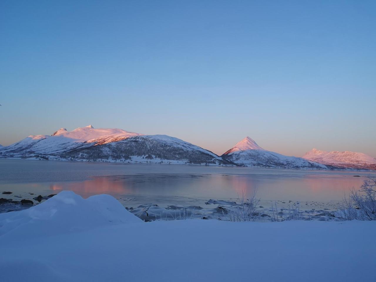 Camp Fjordbotn Hotel Galnslåtta Kültér fotó